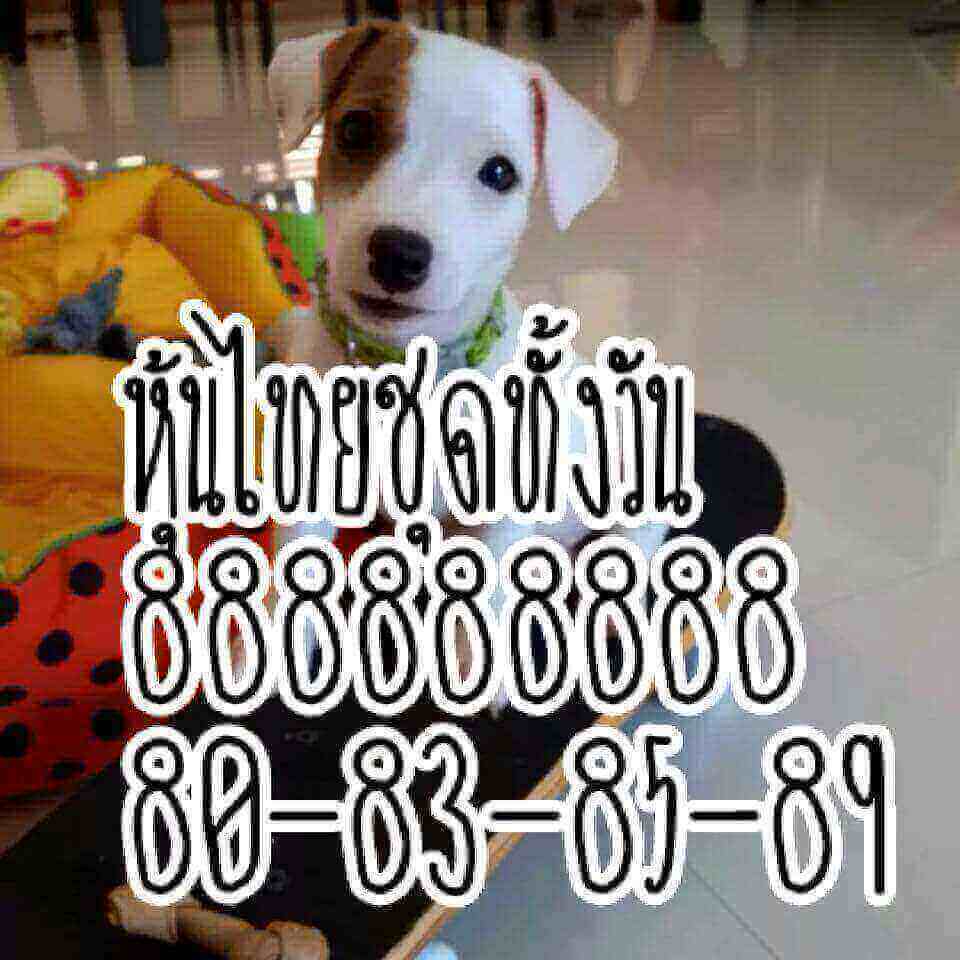 สูตรหวยหุ้น 20/8/61 1