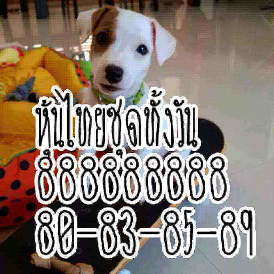 สูตรหวยหุ้น 20/8/61 1