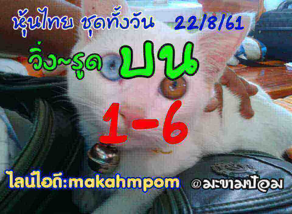 ชุดเลขหวยหุ้น 22/8/61