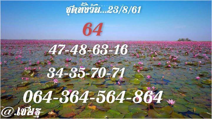 สูตรหวยหุ้น 23/8/61 6