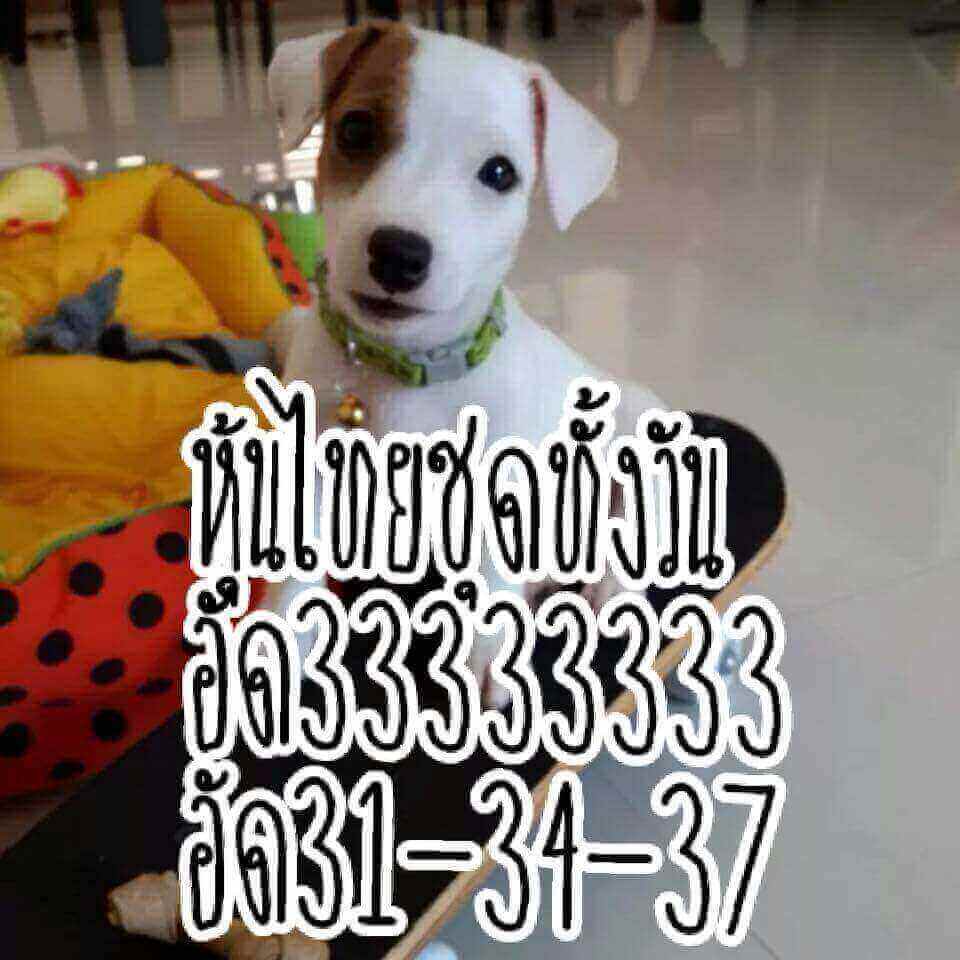 ชุดสูตรหวยหุ้น  29/8/61 5