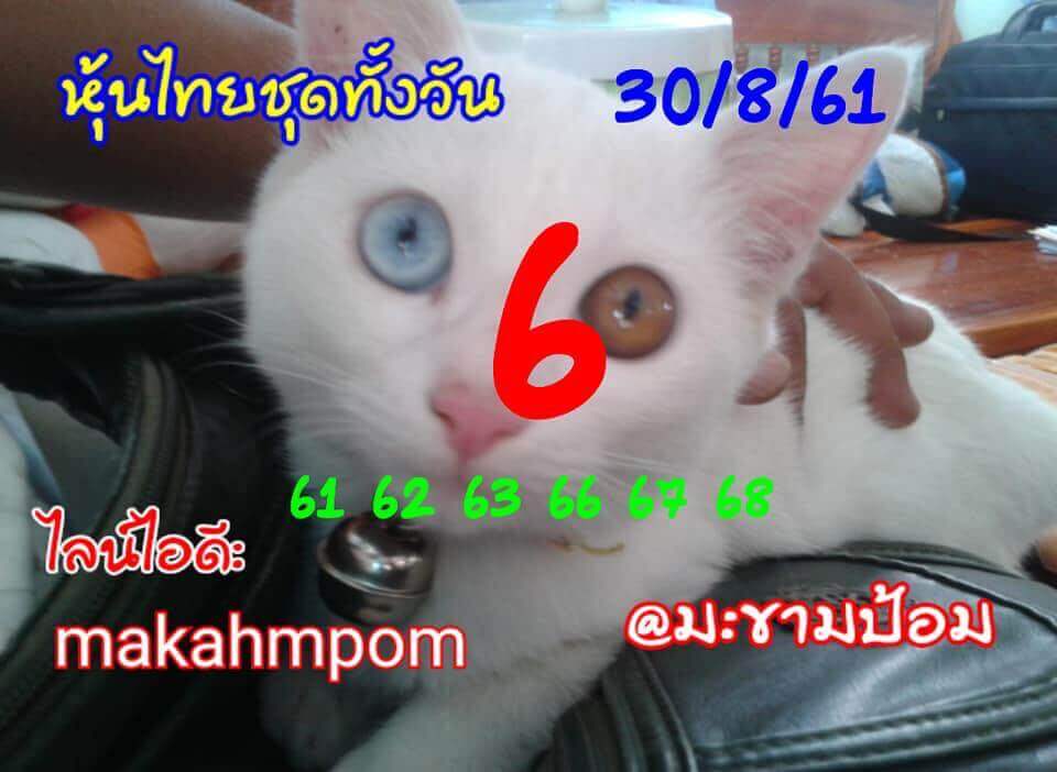 เลขเด็ดหวยหุ้น 30/8/61 8