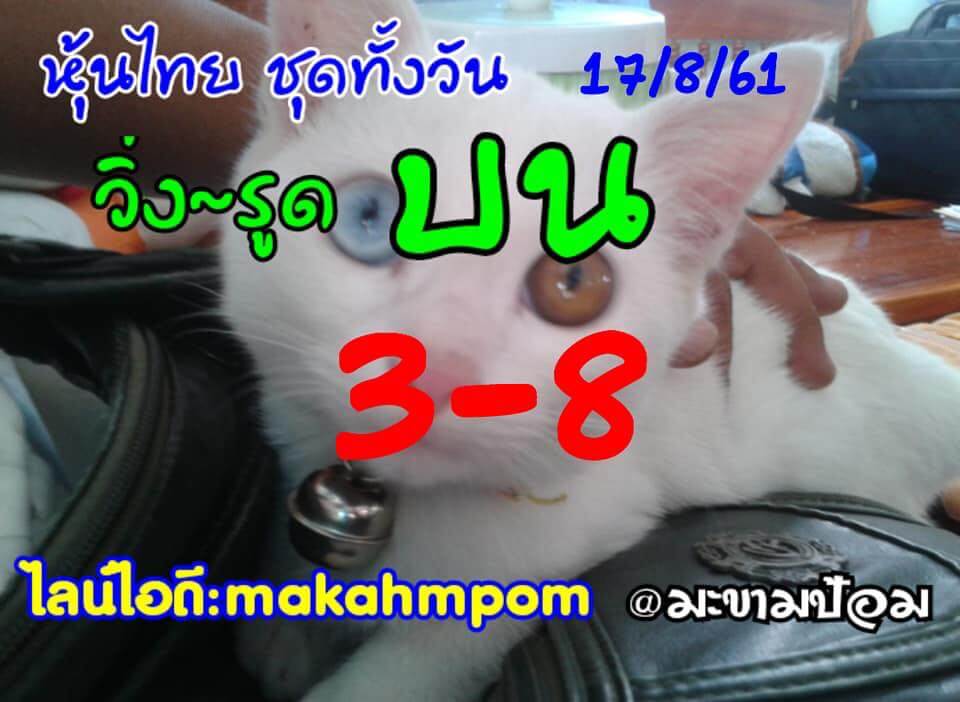 หวยหุ้น 17-8-61 4