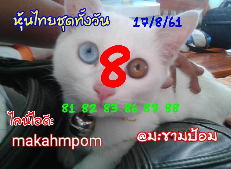 หวยหุ้น 17-8-61 5