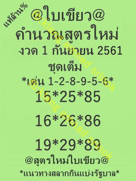 หวยใบเขียว 1/9/61