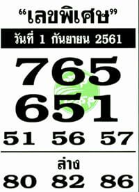 เลขพิเศษ1/9/61