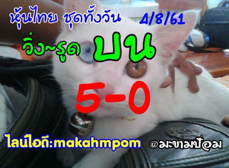 สูตรหวยหุ้นลุ้นโชค 4/9/61 8