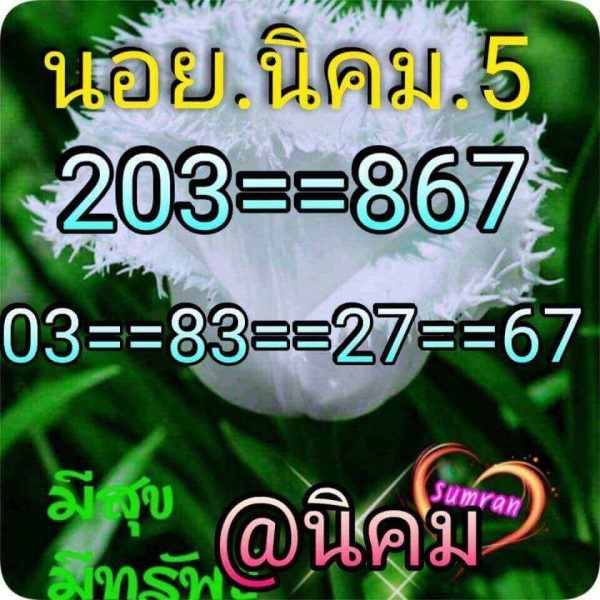 รวมเลขเด็ดหวยฮานอย 5/9/61 10