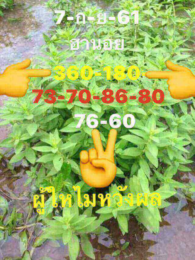 แจกเลขเด็ดหวยฮานอย 7/9/61 20