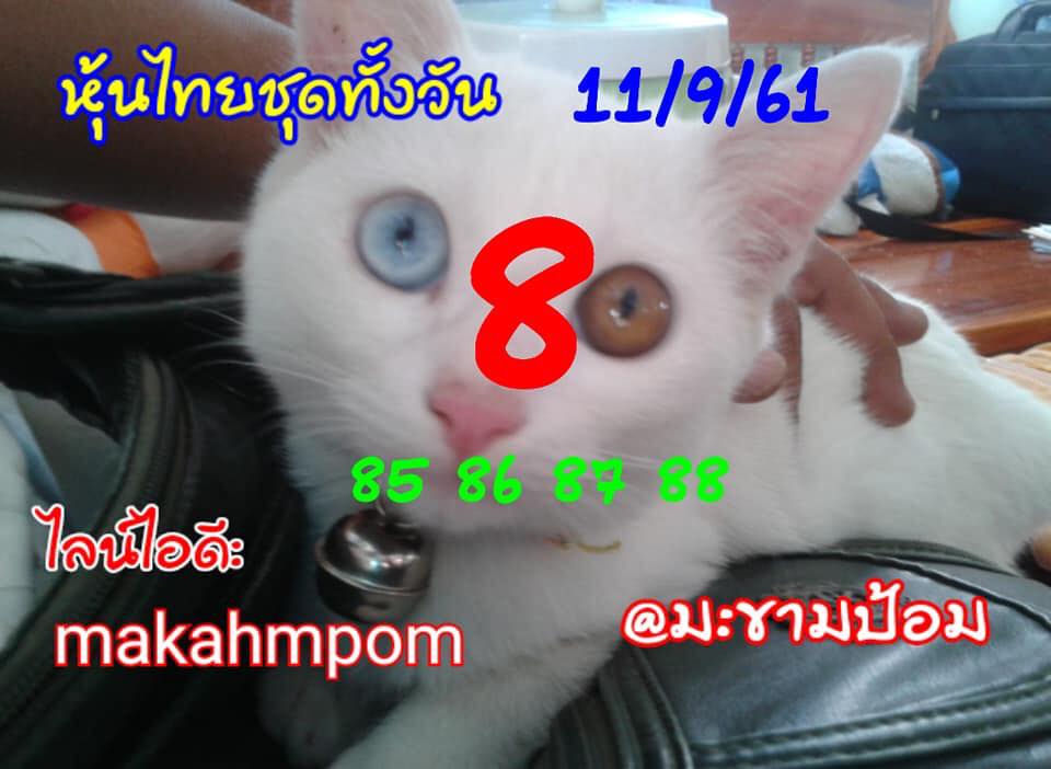 แจกหวยหุ้นลุ้นโชค 11/9/61 16