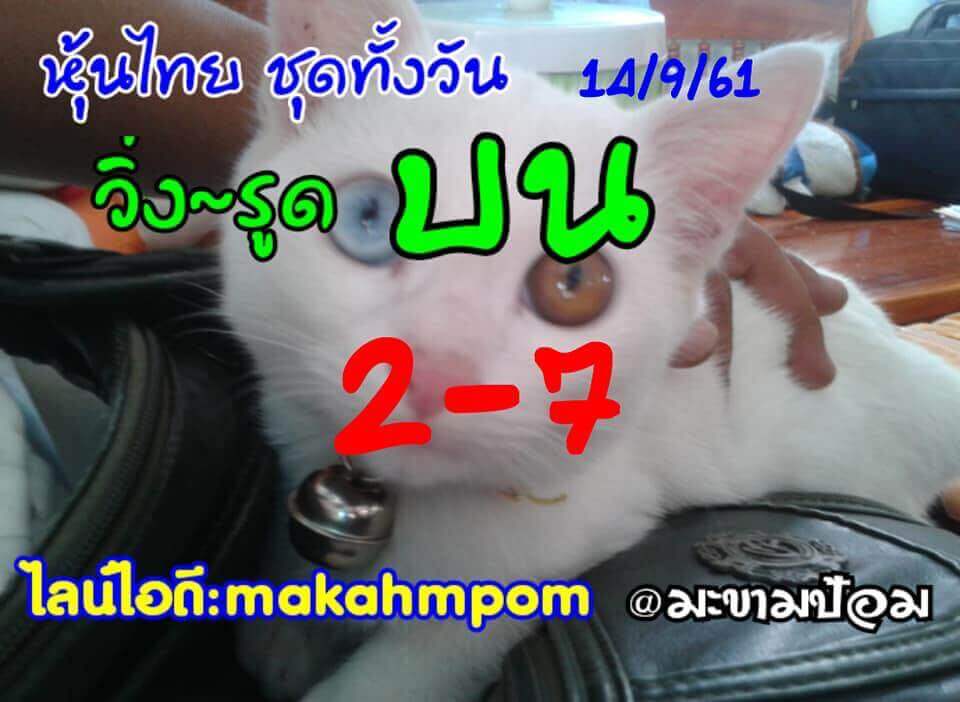 หวยหุ้นเลขเด็ด 14/9/61 16