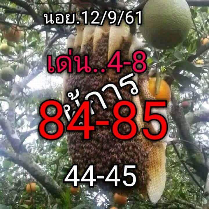 หวยฮานอยมาแรง 12/9/61 15