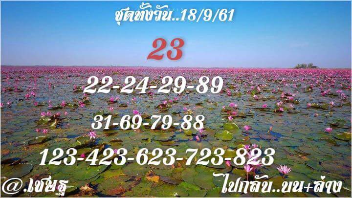 หวยหุ้นเลขดัง 18/9/61 1