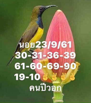 แจกเลขฮานอย 23/9/61 5