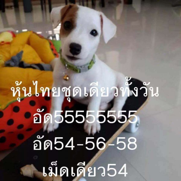 แจกเลขเด็ดหวยหุ้น 4/10/61 9