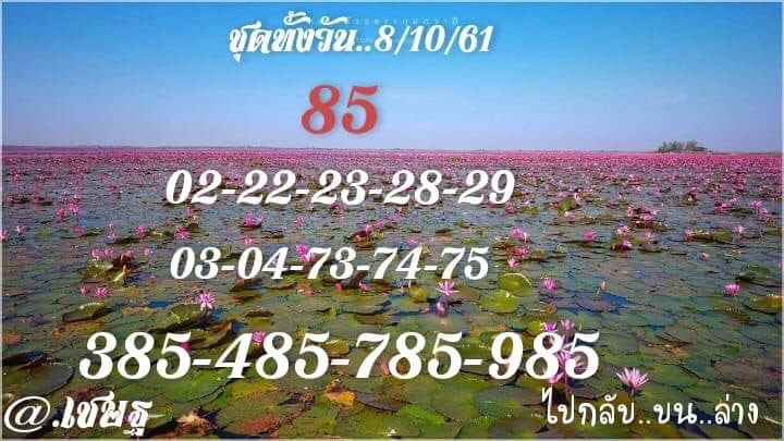 แนวทางหวยหุ้นพารวย 8/10/61 7