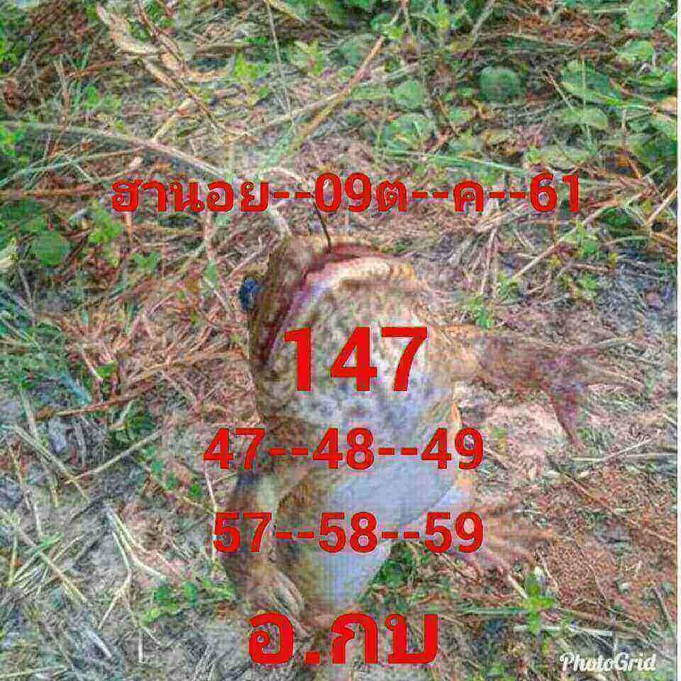 แจกสูตรเด็ดหวยฮานอย 9/10/61 8