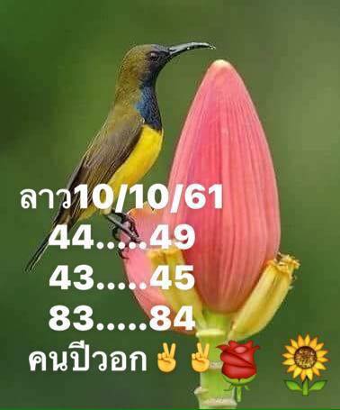 แนวทางหวยลาว 10/10/61 6