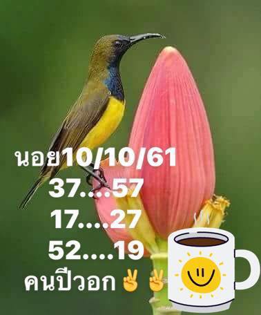 แจกสูตรคำนวณหวยฮานอย 10/10/61 14