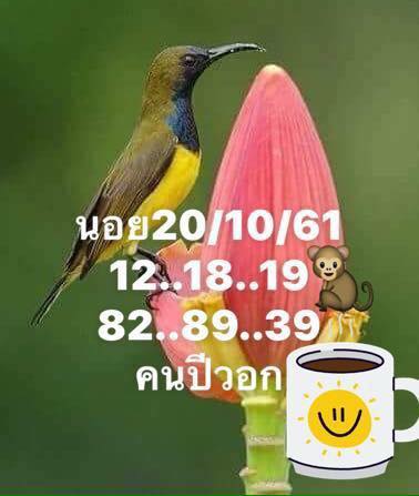 แจกเลขเด็ดหวยฮานอย 20/10/61 17