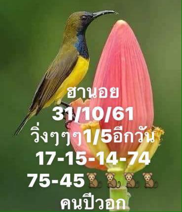 แนวทางหวยฮานอยงวดนี้ 31/10/61 2
