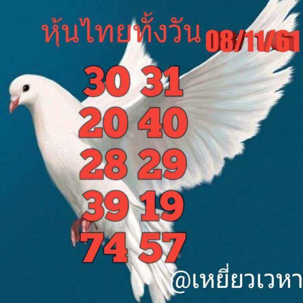 เซียนหวยหุ้นแจกเลขเด็ด 8/11/61 10