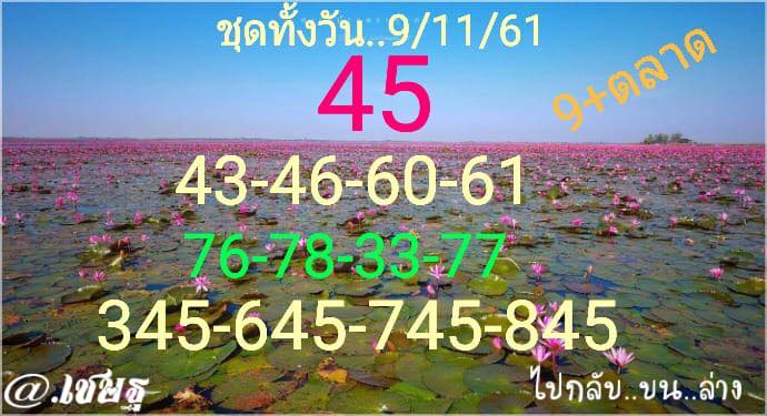 หวยหุ้นเข้าทุกงวด 9/11/61 3