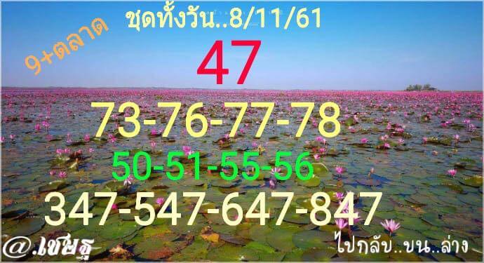 เซียนหวยหุ้นแจกเลขเด็ด 8/11/61 15