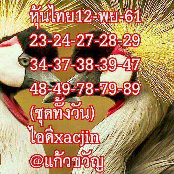 หวยหุ้นทุกสำนัก 12/11/61 14