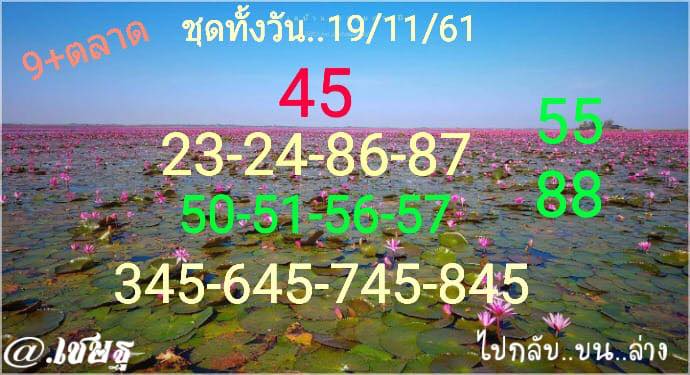 หวยหุ้นฟรี 19/11/61 5