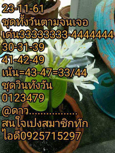 หวยหุ้นช่อง9 23/11/61 4