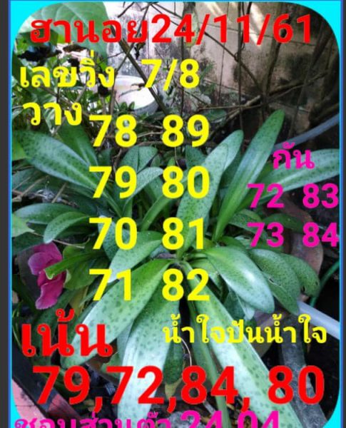 หวยฮานอยพารวย 24/11/61 24