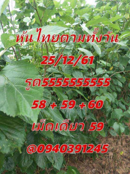 แจกฟรีหวยหุ้น 25/12/61 10