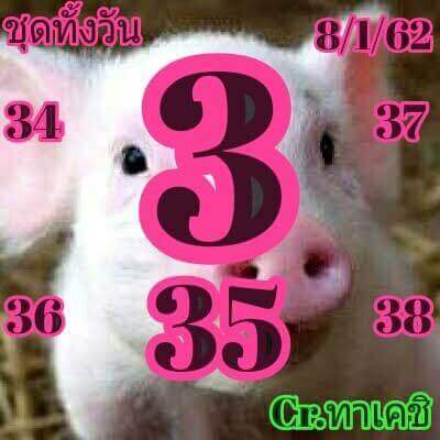 หวย หุ้น วัน นี้ 8/1/62 4