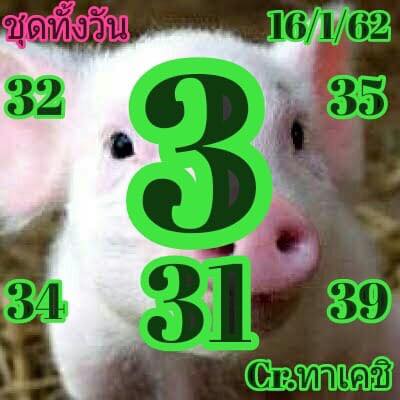 หวยหุ้นช่อง 9 16/1/62 8