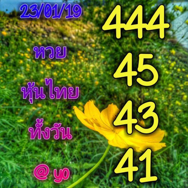 หวยหุ้นเด่นวันนี้ 23/1/62 2