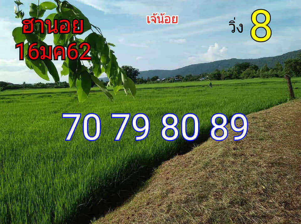 หวยฮานอยแม่นๆ 16/1/62 10