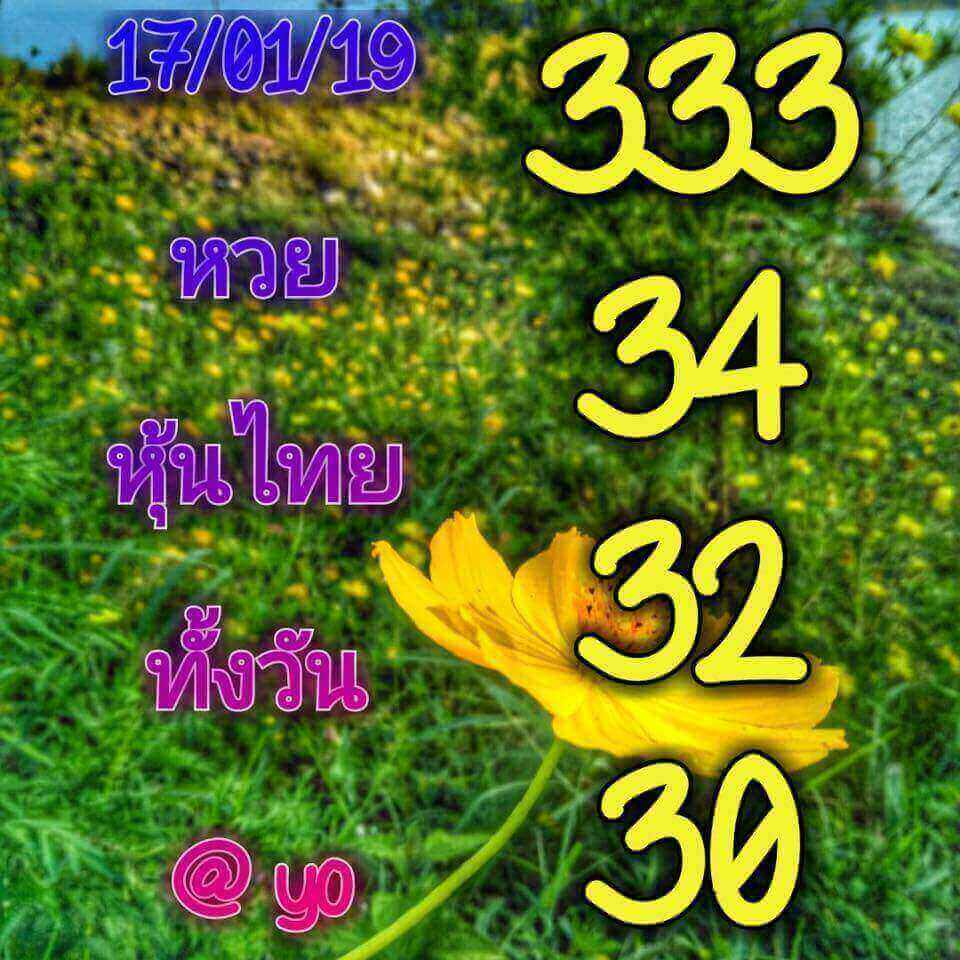 หวยหุ้นเลขเด็ด 17/1/62 13