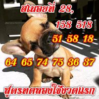 หวยฮานอยพารวย 28/1/62