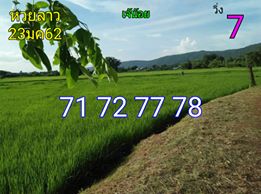 หวยลาววันพุธ 23/1/62 10