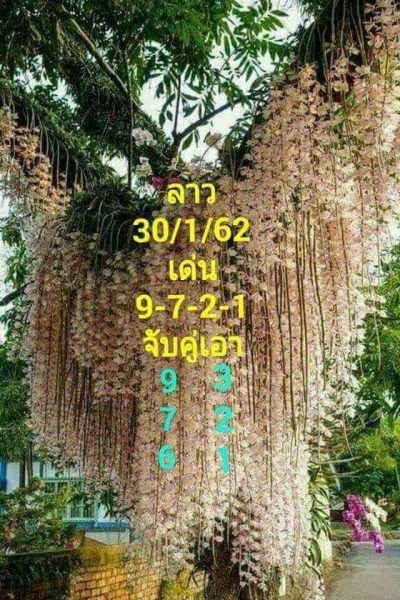 เลขเด่นหวยลาว 30/1/62 3