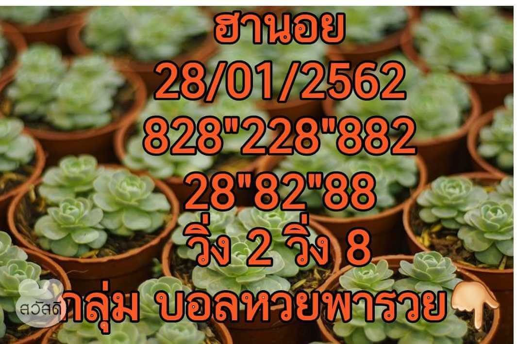 หวยฮานอยพารวย 28/1/62 2