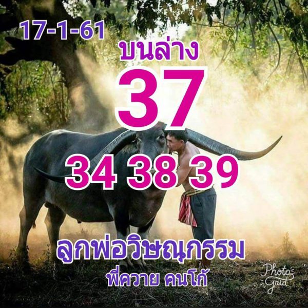 หวยลูกพ่อวิษณุกรรม 17/1/62