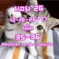 หวยฮานอยเด็ดๆ 26/2/62 3