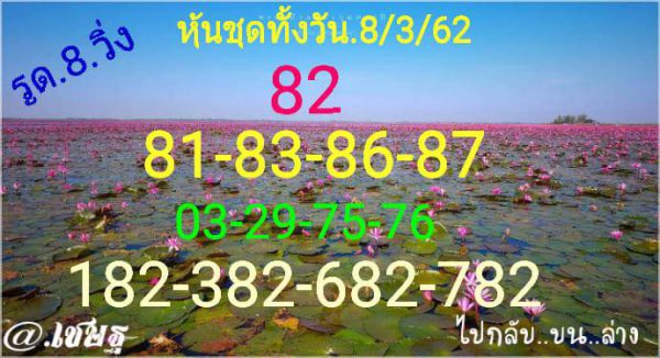 หวยหุ้นเด่นวันนี้ 8/3/62 13