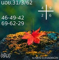 หวยฮานอยพารวย 31/3/62 7