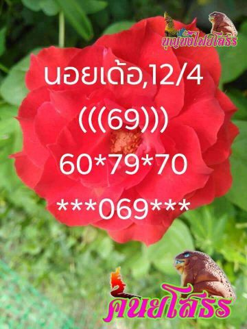 หวยฮานอยเด็ดๆ 12/4/62 7