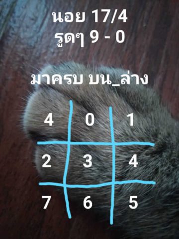 ชุดตัวเลขหวยฮานอย 17/4/62 6