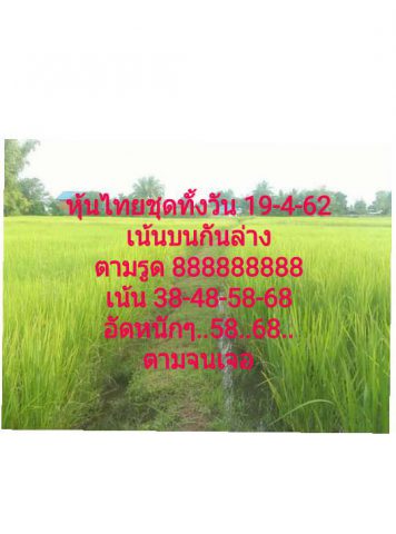 หวยหุ้นวันนี้ 19/4/62 5