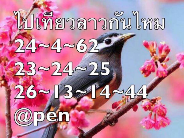 แนวทางหวยลาว 24/4/62 8